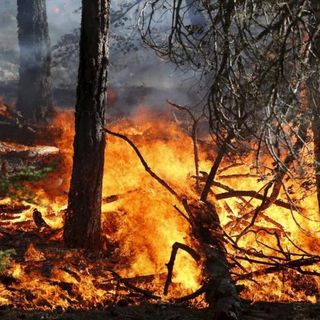 Allerta incendi in Canton Ticino