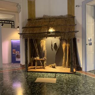 Scopri la capitale delle palafitte in una mostra unica, scegli di visitare Varese