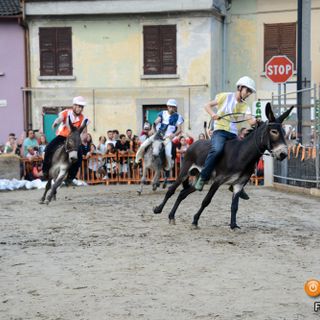 Tutto pronto per la 70esima edizione del Palio degli Asini