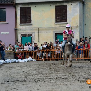 Ferragosto premosellese: divertimento, musica e sapori