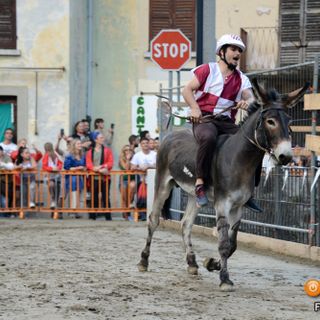 A Premosello un concorso di pittura dedicato all'asino