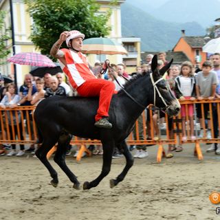 Premosello, cresce l'attesa per il tradizionale Palio degli Asini