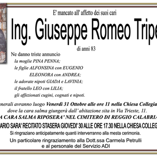 Ing. Giuseppe Romeo Tripepi83 anni