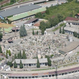 Domodossola, tumulazione congiunta con gli animali d’affezione: la mozione ottiene il via libera