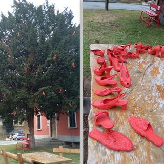 A Cuzzago un albero speciale per illuminare le coscienze