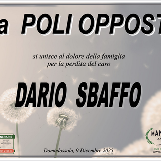 Partecipazione
