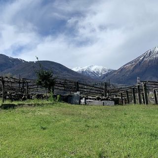 Coldiretti: “La Regione intervenga subito per salvare l’agricoltura piemontese”