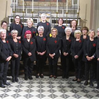 Malesco, con il coro Gaudium un concerto a sostegno delle Rsa vigezzine