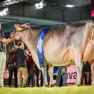 Foto Instragram @bruna_italia