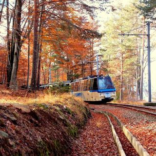 La magia dell'autunno tra Ossola e Svizzera: riparte il Treno del Foliage