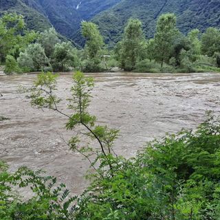 Stefanetta contro la Regione: "Da mesi chiediamo di pulire il Toce. Aspettiamo ci scappi il morto per intervenire?"