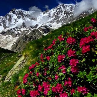 Breve ondata di caldo intenso alle porte ma calo termico a inizio settimana