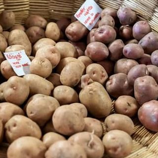 Domenica torna la Walser Häpfla Fest