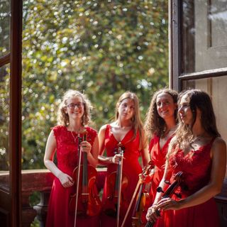 Pomeriggi in concerto, il 12 marzo esibizione del Quartetto Erinni