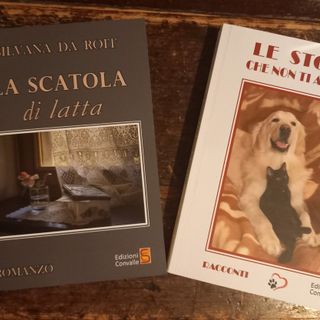 Soms, Silvana Da Roit presenta il romanzo 'La scatola di latta'