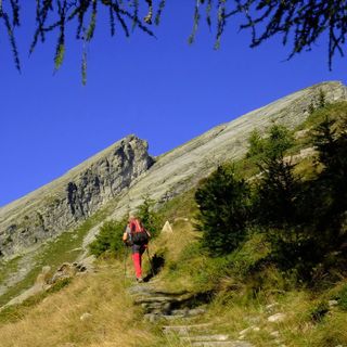 Vette vigezzine protagoniste a Toceno