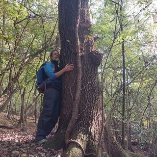 A Biella arriva il Forest Bathing, l'incontro ravvicinato con la natura a due passi dalla città