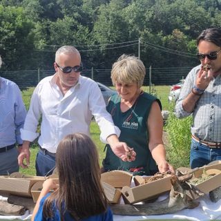 Visite alle aziende ossolane per il vice presidente regionale Carosso