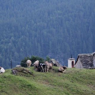 ''Salvaguardare i nostri territori non vuol dire porre vincoli e basta''
