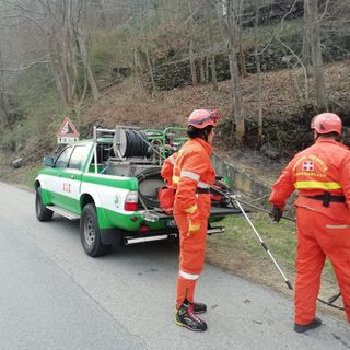 AIB Piemonte: &quot;Mai così vulnerabile il nostro patrimonio forestale &quot;