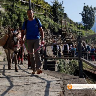 Foto: l'arrivo ad Antrona di una della passate edizioni