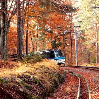 L'autunno continua a splendere in Valle con la Ferrovia Vigezzina