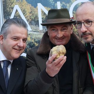Un tartufo di 390 grammi e un piatto da 1691, i vincitori della Fiera del Tartufo di Asti. Continua 'I gioielli del territorio' [FOTOGALLERY]