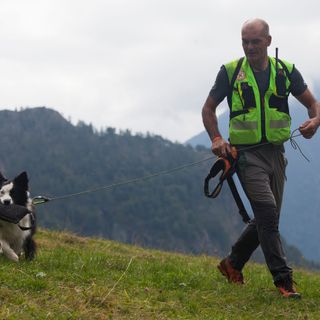 Una quindicina di cani da ricerca in azione in Valle Antrona