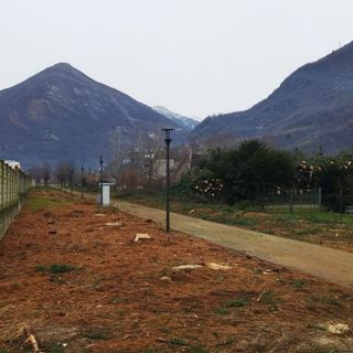 Tagliati gli alberi lungo la ciclabile al Villaggio