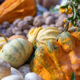 Un autunno di sapori e colori nella valle dei pittori