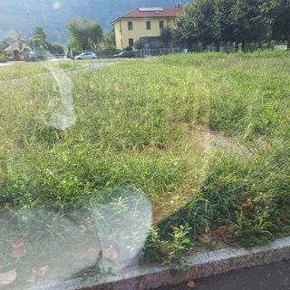 ''Un po' più di cura per piazza Lecomte''