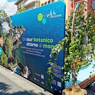 Le Isole di Brissago fanno bella mostra di sé nel cuore del Locarno Film Festival