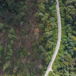 Torna Call for Ideas “Strategia Clima”: Fondazione Cariplo sostiene progetti di transizione climatica