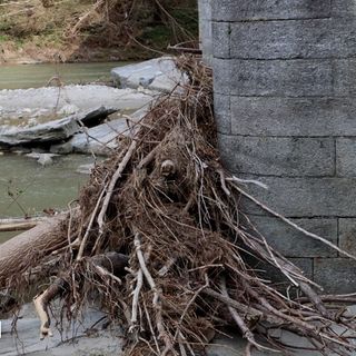 ''Tronchi contro il ponte: il Toce va pulito''  FOTO