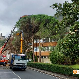Municipio chiuso a Villa per il taglio degli alberi