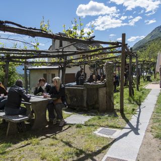 &quot;Ossola in cantina&quot;: torna l'appuntamento alla scoperta delle eccellenze vitivinicole locali