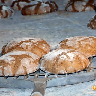 Per la giornata del pane nero Calasca mette in mostra mulini e forni antichi