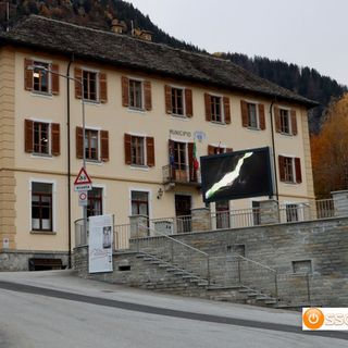 Anche Premia delibera contro la presenza di lupi e orsi sul territorio comunale