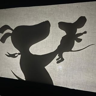 “Incantesimi di luce”: tre eventi luminosi in Valle Vigezzo