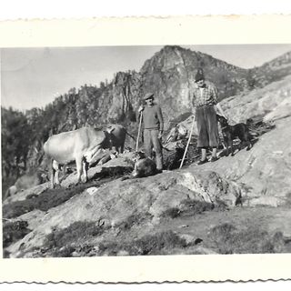 Alpeggi delle Alpi: alpi e alpigiani in Val d’Ossola