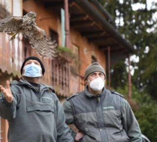 Centro Recuperi Animali Selvatici: salvati nel 2020 oltre 180 esemplari
