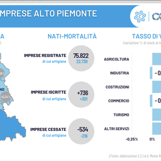Demografia imprese: saldo positivo per il Piemonte Nord Orientale