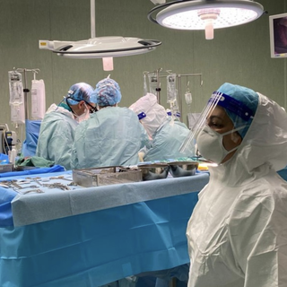 Covid, primo trapianto di fegato da positivo a positivo. Il donatore è un 47enne deceduto a Domodossola