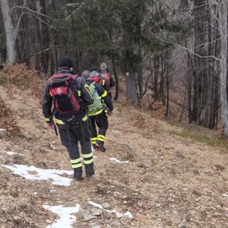 Cane scivola sul ghiaccio alle pendici del Pizzo Ragno: salvato dai vigili del fuoco