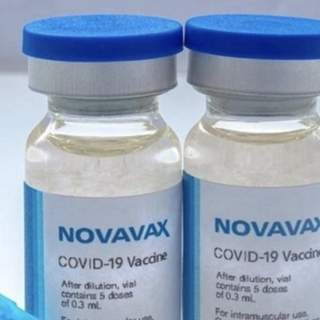 Oltre 1400 adesioni per il vaccino Novavax in Piemonte