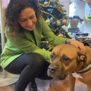 In Piemonte nascono gli 'ambulatori veterinari sociali'