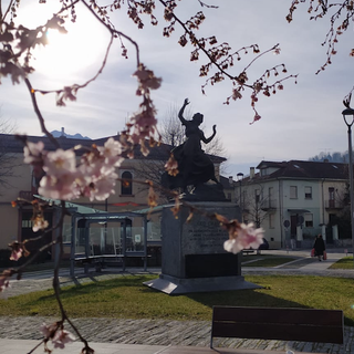 In fiore i ciliegi di Piazza Chavez