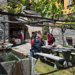 Il 13 maggio torna 'Ossola in Cantina'