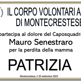 Partecipazione