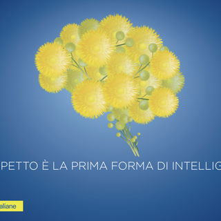 Poste italiane: nella provincia del Vco un'azienda in rosa